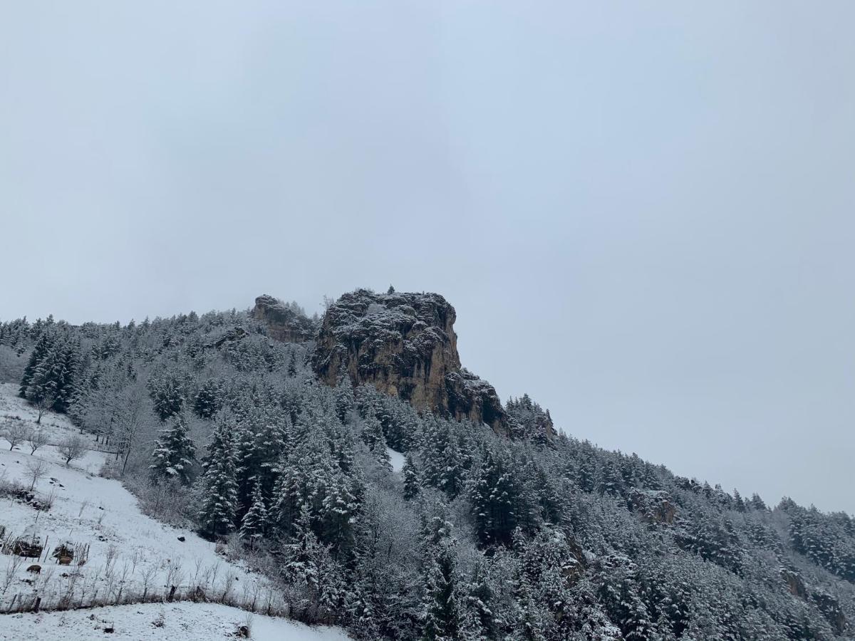 Acasa In Bicaz-Chei - Camere De Inchiriat Cheile Bicazului Bagian luar foto